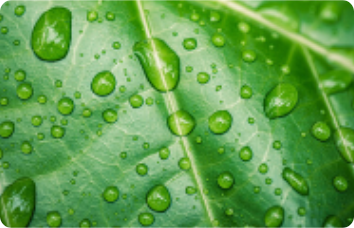 Aproveitamento da Água da Chuva